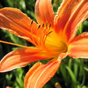 Img_4432_card