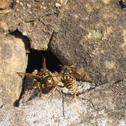 Img_4425_card