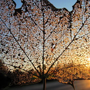 Img_5320_card