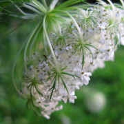 Img_5326_card