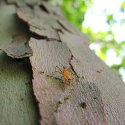 Img_6237_card