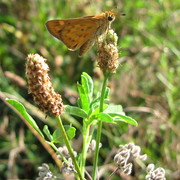 Img_6212_card