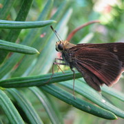 Img_6256_card