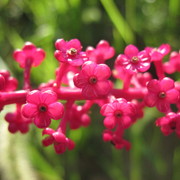 Img_6258_card