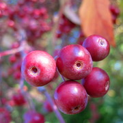 Img_6273_card