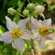 Img_6288_card