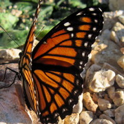 Img_7467_card