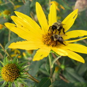 Img_6423_card