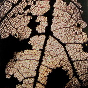 Img_7161_card