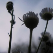 Img_7152_card