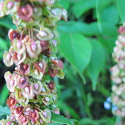 Img_4927_card