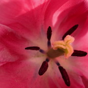 Img_3593_card
