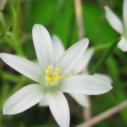 Img_3830_card