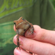 Img_3827_card