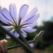 Img_5789_card