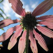 Img_6811_card