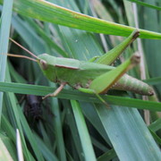 Img_7027_card