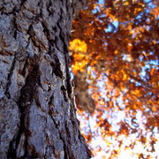101_0976_card