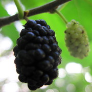 Img_4903_card
