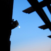 Img_5122_card