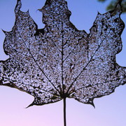Img_5323_card