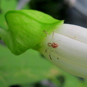 Img_5896_card