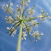 Img_6210_card