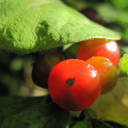 Img_6261_card