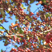 Img_6277_card