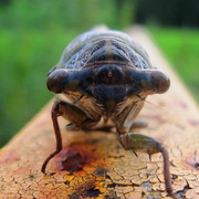 Img_6428_card