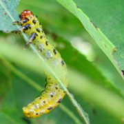 Img_6537_card