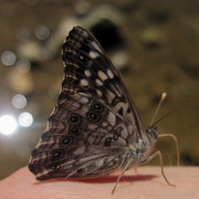 Img_7413_card