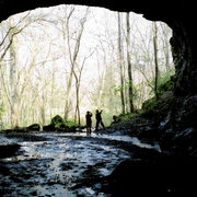 Cave_card