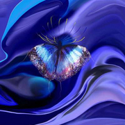 Blue_butterfly_card