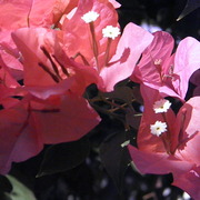 Pa180519_card
