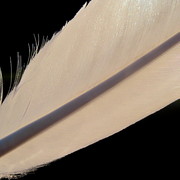 Img_5625_card