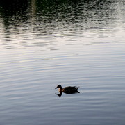 Img_5644_card