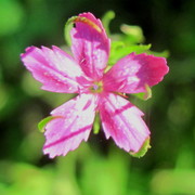 Img_4971_card