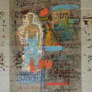 Pm401fs_card