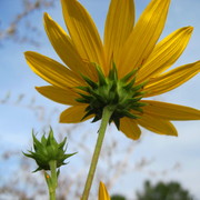 Img_6422_card