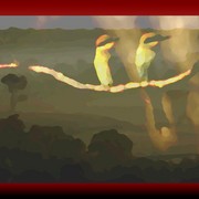 Layers_humming_birds_boyup_brook_card