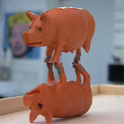 Pig_card