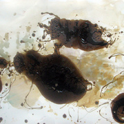 Img_4577_card