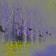 Purple_wood_web_card