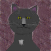 Misty_study_2_by_jay_thing_card