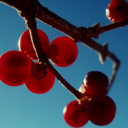 101_2578_card