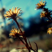101_2560_card