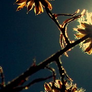 101_2581_card