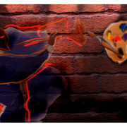16270437_1__card