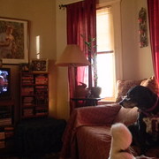 Gypsywatchinglassiemovie2_card